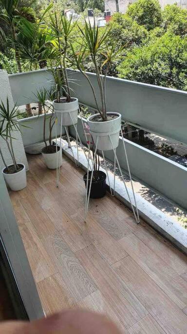 Cozy Apartment In Condesa'S Heart ! Mexico by Eksteriør bilde